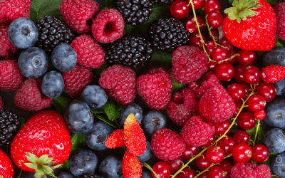 Exportaciones de México: Crecimiento en Frutas y Verduras Frescas